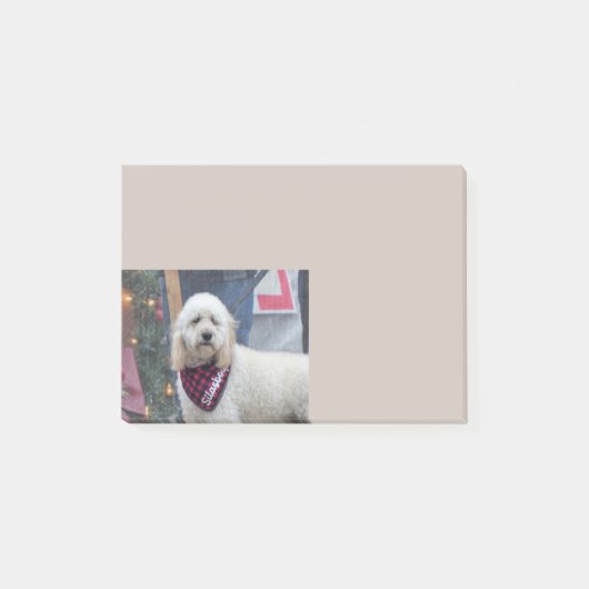 Poodle Post-it® Notes (Voorkant)
