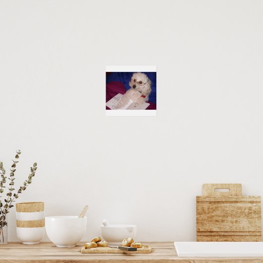 Poodle Poster (Keuken)