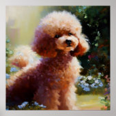 Poodle Poster (Voorkant)
