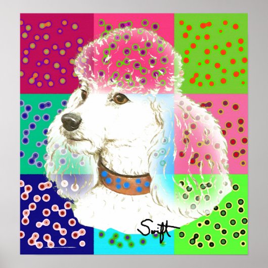 Poodle Poster (Voorkant)