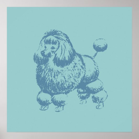 Poodle Poster (Voorkant)