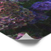 Poodle Poster Hydrangeas (Hoek)