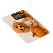 Poodle Pumpkin Spice Magneet (Rechterzijde)