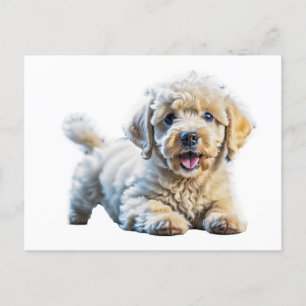Poodle Puppy Briefkaart