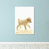 Poodle Puppy Canvas Afdruk (Insitu (Houten vloer))