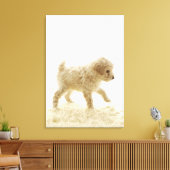 Poodle Puppy Canvas Afdruk (Insitu (Woonkamer))
