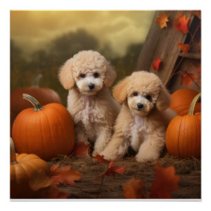 Poodle Puppy Herfst Plezier Pompoen Perfect Poster