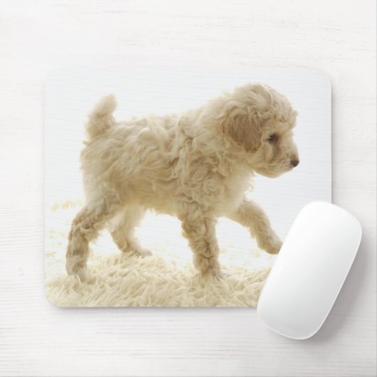 Poodle Puppy Muismat (Met muis)