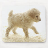 Poodle Puppy Muismat (Voorkant)