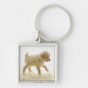 Poodle Puppy Sleutelhanger