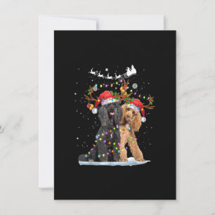 Poodle Reindekerstman met Kerstmis met Kerstmis me Kaart
