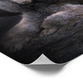 Poodle Rock Art Poster/Print Poster (Hoek)