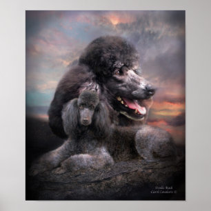 Poodle Rock Art Poster/Print Poster