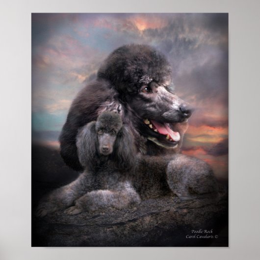 Poodle Rock Art Poster/Print Poster (Voorkant)