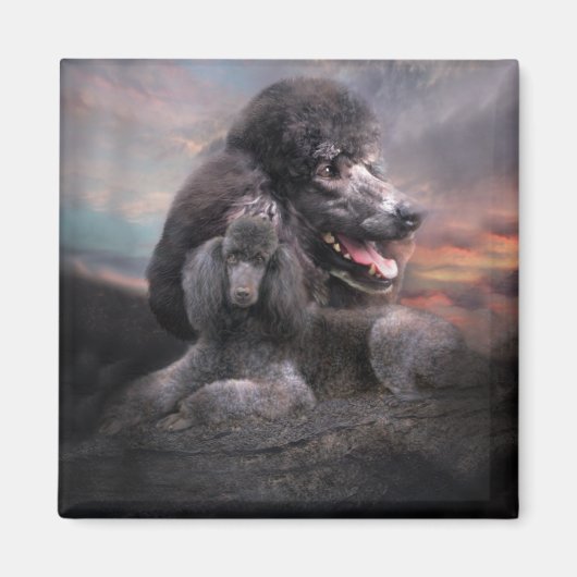 Poodle Rock Magnet (Voorkant)