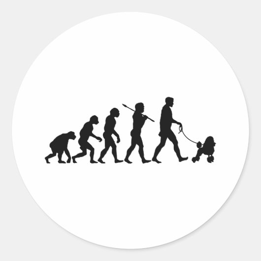 Poodle Ronde Sticker (Voorkant)