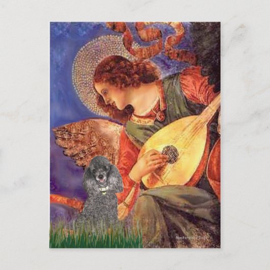 Poodle(s) - Mandoline Engel Briefkaart (Voorkant)
