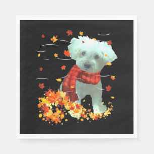 Poodle Servet