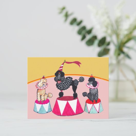 Poodle Sisters Circus Act Postcard Briefkaart (Staand voorkant)