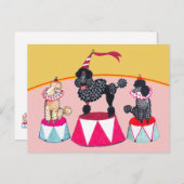Poodle Sisters Circus Act Postcard Briefkaart (Voorkant / Achterkant)