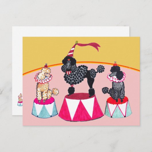 Poodle Sisters Circus Act Postcard Briefkaart (Voorkant / Achterkant)