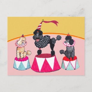 Poodle Sisters Circus Act Postcard Briefkaart