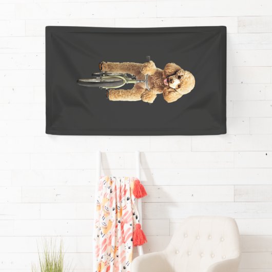 Poodle spandoek (Insitu)