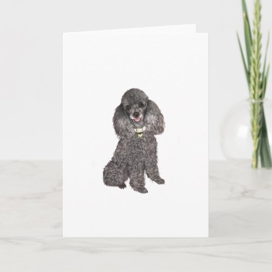 Poodle - Speelgoed /Miniatuur Zilver Kaart (Voorkant)