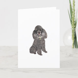 Poodle - Speelgoed /Miniatuur Zilver Kaart