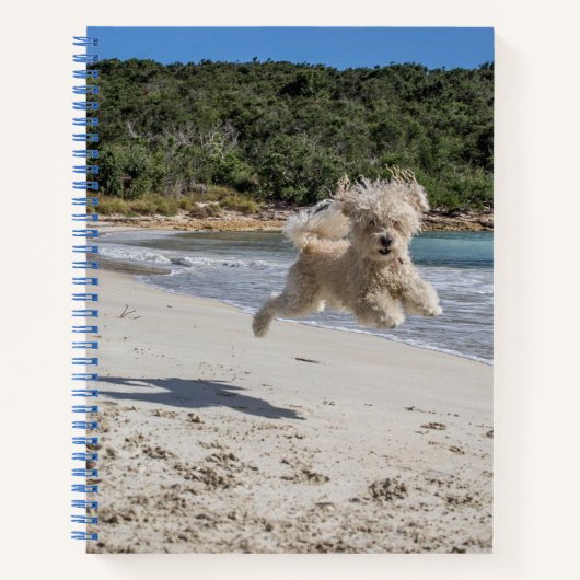Poodle Spiral Notebook Notitieboek (Voorkant)