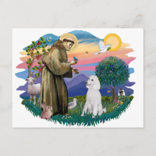 Poodle (Standaard Wit) Briefkaart