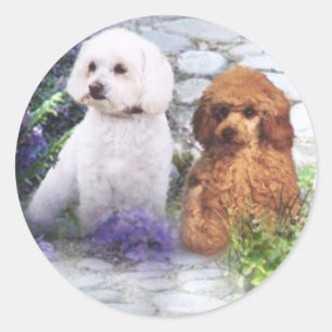 Poodle Sticker Hydrangeas