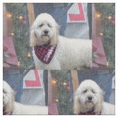 Poodle Stof (Close Up)