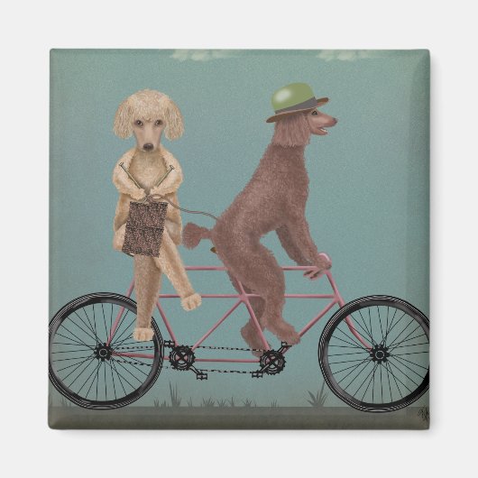 Poodle Tandem Magneet (Voorkant)