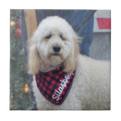 Poodle Tegeltje (Voorkant)