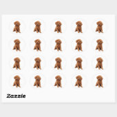 Poodle - Toy (Abrikoos) Ronde Sticker (Vel)
