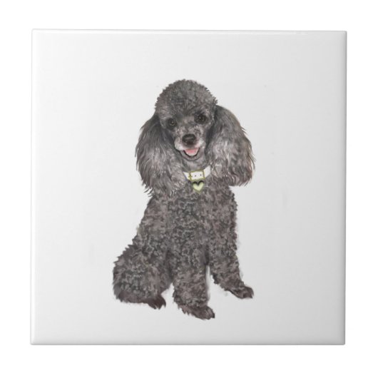 Poodle - Toy /Miniatuur Zilver Tegeltje (Voorkant)