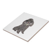 Poodle - Toy /Miniatuur Zilver Tegeltje (Zijkant)