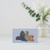 Poodle Trio-Visitekaartje Visitekaartje (Staand voorkant)