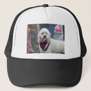 Poodle Trucker Pet