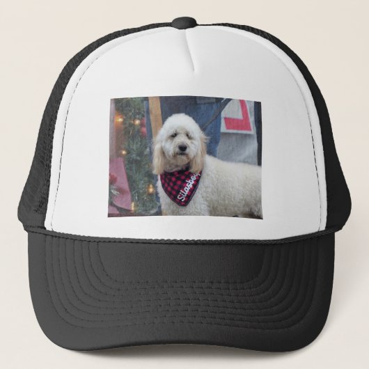 Poodle Trucker Pet (Voorkant)