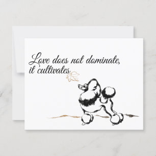 Poodle-uitnodigingen Kaart