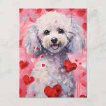Poodle Valentijnsdag