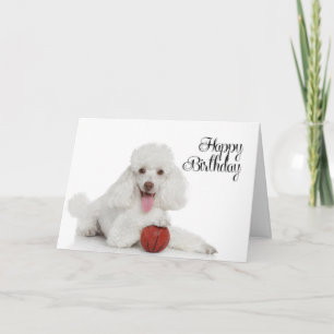 Poodle-verjaardagskaart Kaart