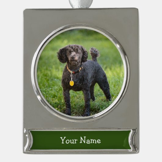Poodle Verzilverd Banner Ornament (Voorkant)
