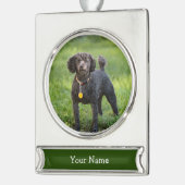 Poodle Verzilverd Banner Ornament (Links)