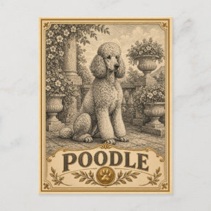Poodle, Vintage Heritage Hond Briefkaart