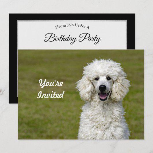Poodle White Dog Photo Birthday Kaart (Voorkant / Achterkant)