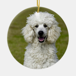 Poodle White Dog Photo Keramisch Ornament