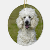 Poodle White Dog Photo Keramisch Ornament (Links)